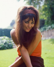 CLAUDIA CARDINALE SEXY RARE PRINTS AND POSTERS 255218