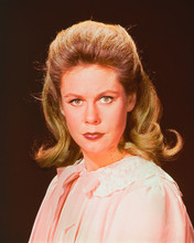 ELIZABETH MONTGOMERY PRINTS AND POSTERS 255071