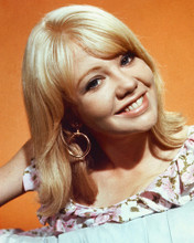 HAYLEY MILLS IN SEXY PRINTS AND POSTERS 255067
