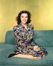 JUDY GARLAND PRINTS AND POSTERS 254994