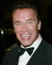ARNOLD SCHWARZENEGGER PRINTS AND POSTERS 254659