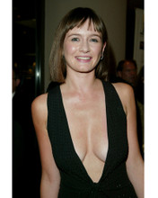 EMILY MORTIMER BUSTY REVEALING DRESS PRINTS AND POSTERS 254592
