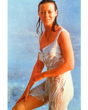 JENNY AGUTTER PRINTS AND POSTERS 254244