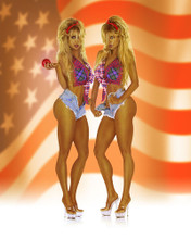 BARBI TWINS AMERICAN FLAG SHORTS PRINTS AND POSTERS 253953