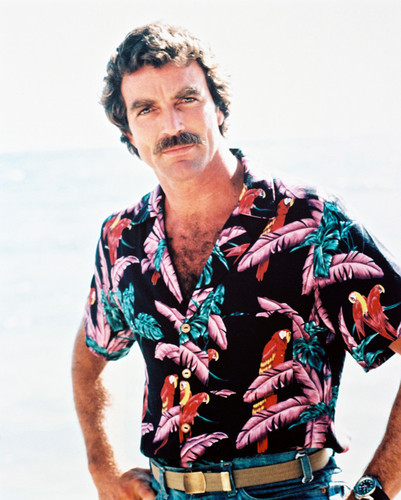 Tom Selleck Magnum, P.I. Posters and Photos 25368 | Movie Store