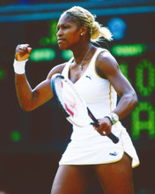 SERENA WILLIAMS PRINTS AND POSTERS 253403