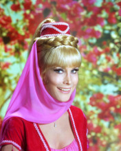 BARBARA EDEN PRINTS AND POSTERS 253019