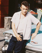 BRAD RENFRO PRINTS AND POSTERS 252885