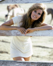 RAQUEL WELCH PRINTS AND POSTERS 252623