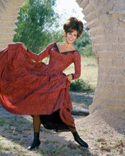 RAQUEL WELCH PRINTS AND POSTERS 252622