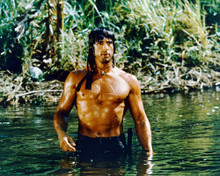 SYLVESTER STALLONE RAMBO III BARECHESTED IN JUNGLE PRINTS AND POSTERS 252592