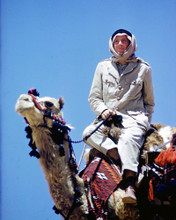 PETER O'TOOLE ON CAMEL LAWRENCE OF ARABIA RARE PRINTS AND POSTERS 252525