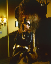 JULIE NEWMAR PRINTS AND POSTERS 252515