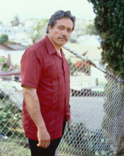 EDWARD JAMES OLMOS PRINTS AND POSTERS 252081