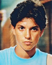 RALPH MACCHIO THE KARATE KID PRINTS AND POSTERS 252033