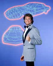 DAVID HASSELHOFF PRINTS AND POSTERS 251979