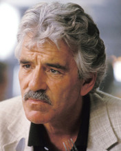 DENNIS FARINA PRINTS AND POSTERS 251586