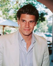 DAVID BOREANAZ IN WHITE JACKET PRINTS AND POSTERS 251534