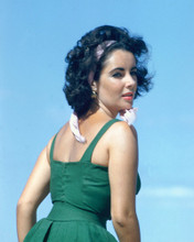 ELIZABETH TAYLOR PRINTS AND POSTERS 251359