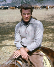 CLINT EASTWOOD RAWHIDE ON HORSE PRINTS AND POSTERS 251081