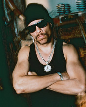 ICE-T PRINTS AND POSTERS 250717