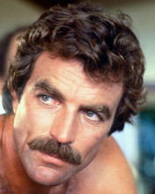 TOM SELLECK PRINTS AND POSTERS 250406