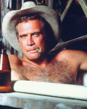 THE FALL GUY LEE MAJORS PRINTS AND POSTERS 250308