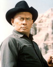 YUL BRYNNER MAGNIFICENT SEVEN 7 PRINTS AND POSTERS 250108