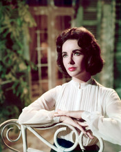 ELIZABETH TAYLOR PRINTS AND POSTERS 250009
