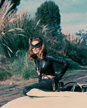 JULIE NEWMAR PRINTS AND POSTERS 249916