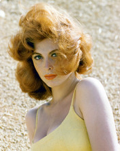 TINA LOUISE IN BUSTY PRINTS AND POSTERS 249870