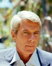 PETER GRAVES PRINTS AND POSTERS 249794