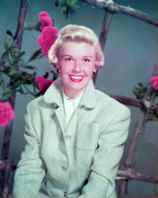 DORIS DAY CLASSIC 50'S LOOK PRINTS AND POSTERS 249740