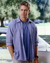 PAUL WALKER PRINTS AND POSTERS 249153
