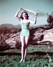 JEANNE CRAIN SEXY PRINTS AND POSTERS 248982
