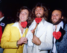 THE BEE GEES PRINTS AND POSTERS 248653