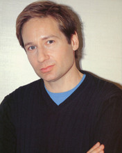 DAVID DUCHOVNY PRINTS AND POSTERS 248633