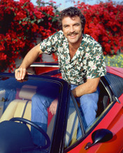 TOM SELLECK PRINTS AND POSTERS 248611