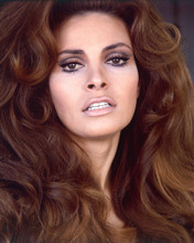 RAQUEL WELCH BEAUTIFUL HEAD SHOT PRINTS AND POSTERS 248381