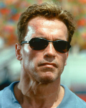 ARNOLD SCHWARZENEGGER PRINTS AND POSTERS 248319