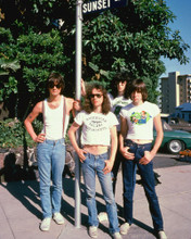THE RAMONES PRINTS AND POSTERS 248288