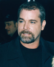RAY LIOTTA PRINTS AND POSTERS 248227