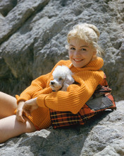 SANDRA DEE PRINTS AND POSTERS 248096