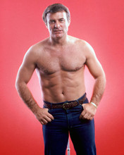 ROBERT CONRAD HUNKY BARECHESTED PRINTS AND POSTERS 248053