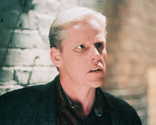 GARY BUSEY PRINTS AND POSTERS 248029