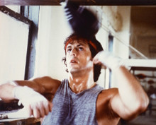 SYLVESTER STALLONE PRINTS AND POSTERS 247932