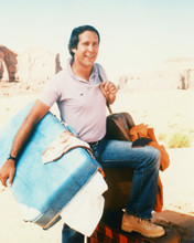 CHEVY CHASE NATIONAL LAMPOON PRINTS AND POSTERS 247688