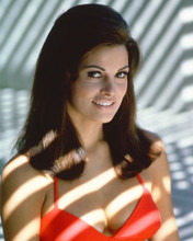 RAQUEL WELCH PRINTS AND POSTERS 247613