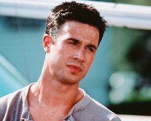 SUMMER CATCH FREDDIE PRINZE JR. PRINTS AND POSTERS 247492