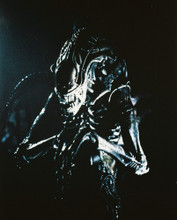 ALIENS PRINTS AND POSTERS 24748